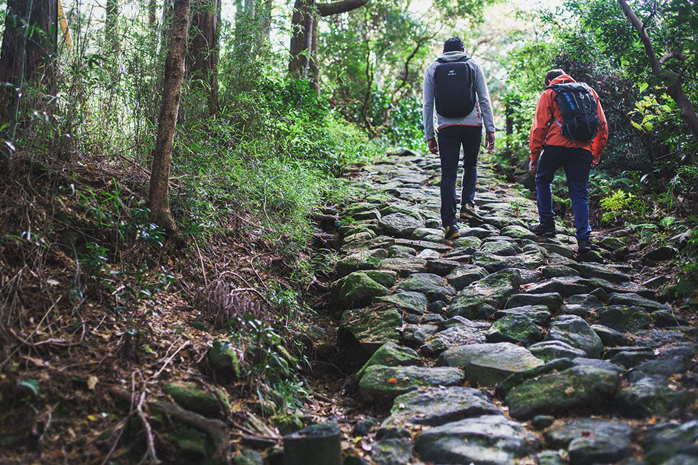 Hakone Hachiri - Walking the Ancient Path