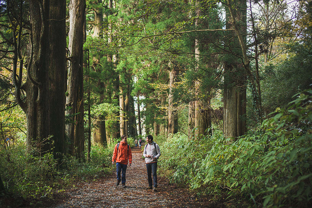 Hakone Hachiri - Walking the Ancient Path