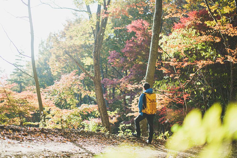 Mount Fuji -a place of deep reverence - Explore Hakone