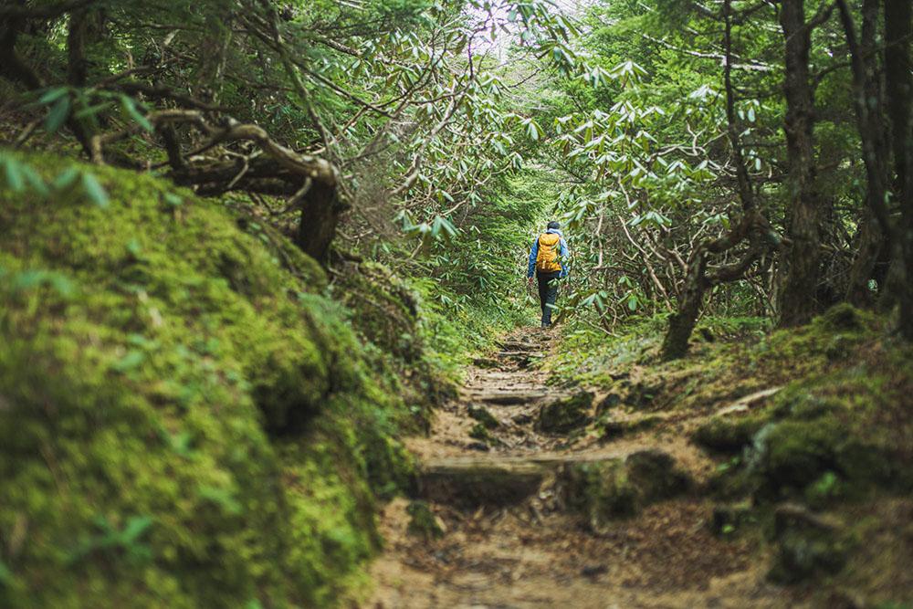 Mount Fuji -a place of deep reverence - Explore Hakone