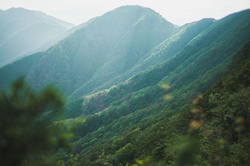 Mt.Kintoki - Walk Nature, Myth and History - Explore Hakone