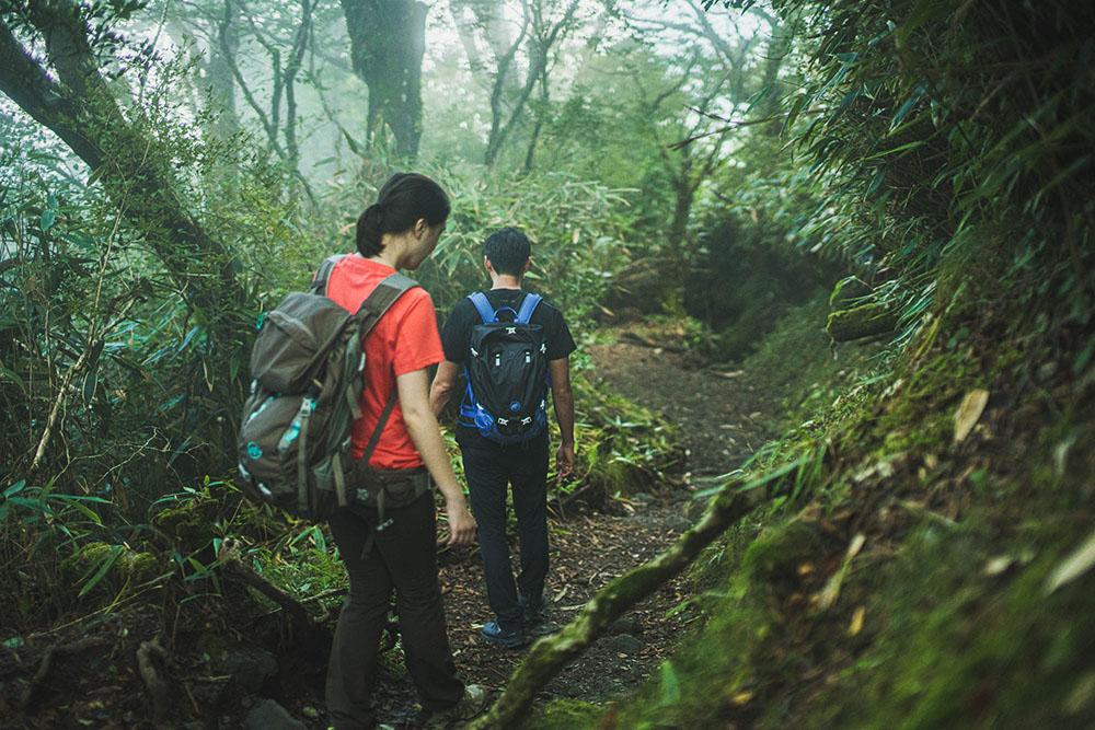 Mt.Kintoki - Walk Nature, Myth and History - Explore Hakone