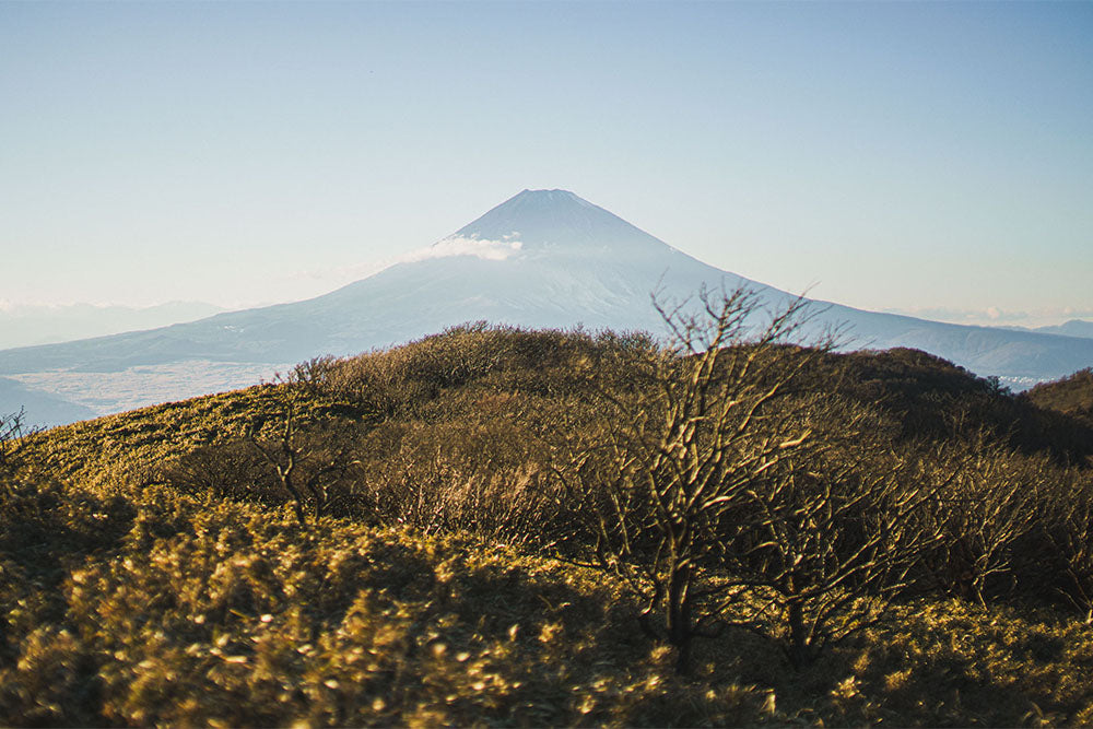 Personalized Private Tour in Hakone