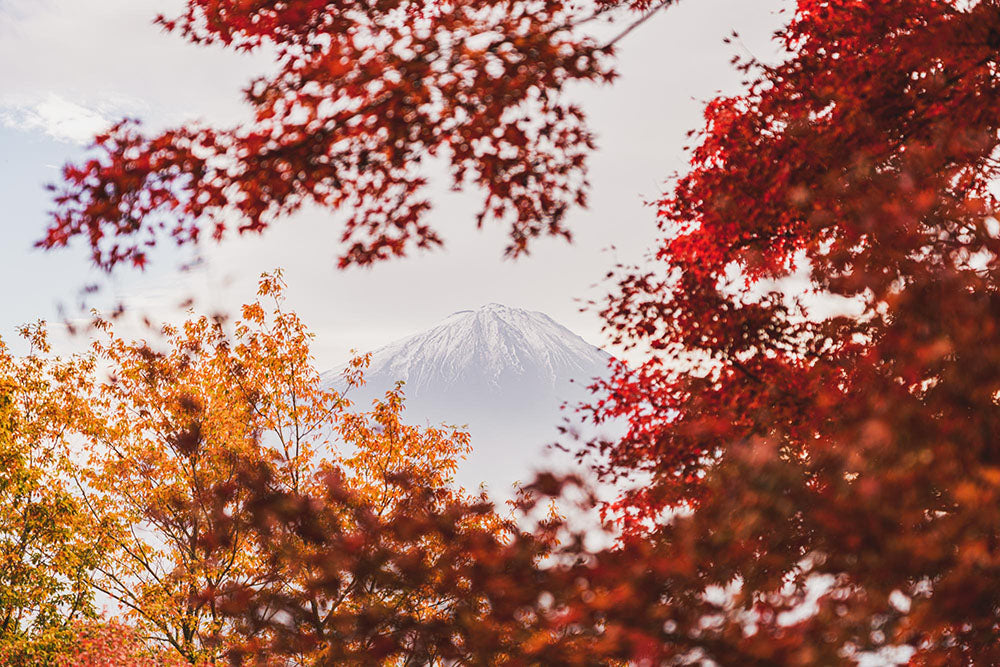 Mount Fuji -a place of deep reverence